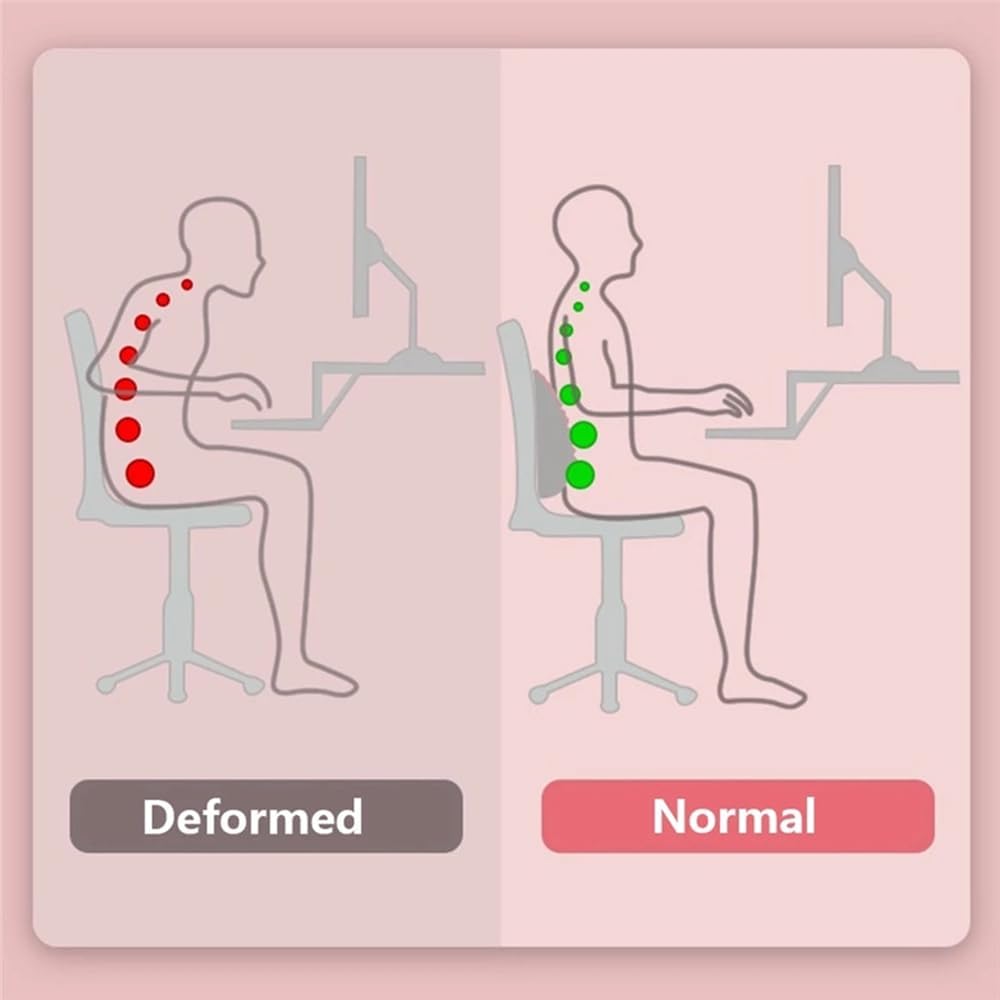 وسادة تدريب اليوغا لدعم الظهر  - مراجعة Home Gym Essentials وسعره